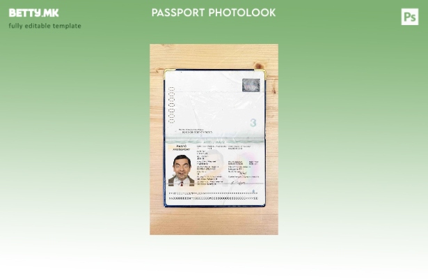 Шаблон за изглед на фотографија од пасош на Хаити во модерен стил